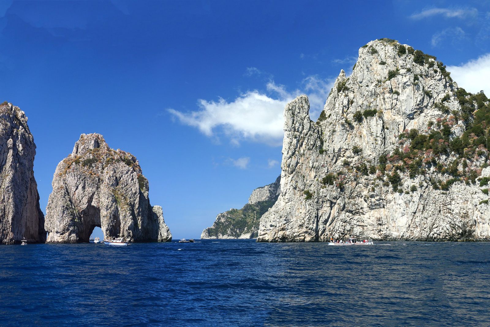 Boat Tour